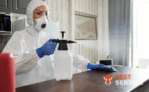 Дезинфекция в Можге